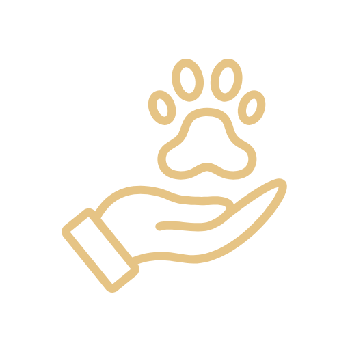 Pet Cremation Icon